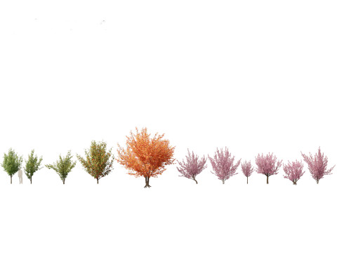Spring Blossoms Pack 10 3D Model