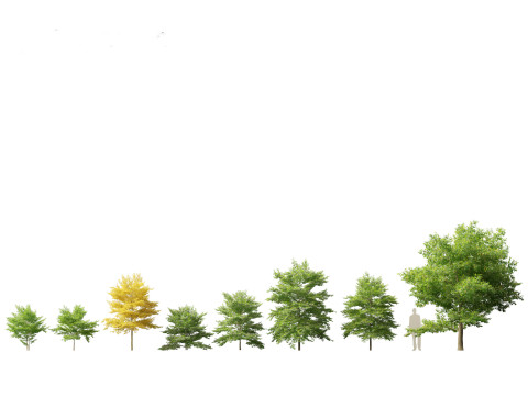 Spring Blossoms Pack 10 3D Model