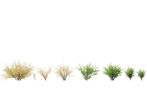 Parkland Avenue Trees Pack 12 3D Model