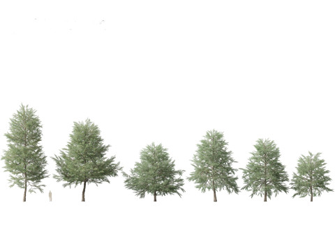 Pacote 12 de &aacute;rvores da Parkland Avenue Modelo 3D