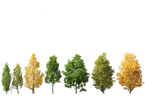 Parkland Avenue Trees Pack 12 3D Model
