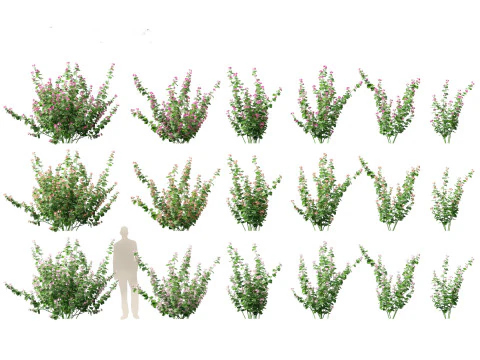 Pakiet zieleni podw&oacute;rkowej 35 Model 3D