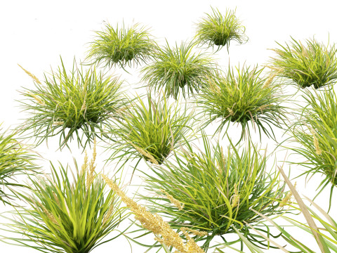 Backyard Green Pack 35 3D Model