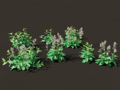 Backyard Green Pack 35 3D Model