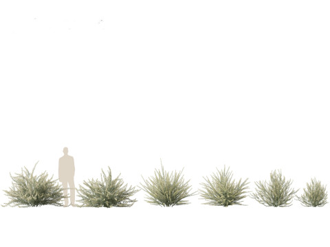 Backyard Green Pack 35 3D Model