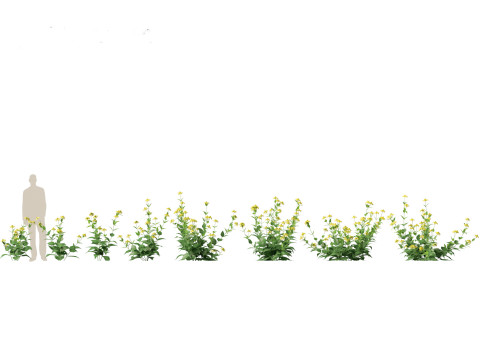 Backyard Green Pack 35 3D Model