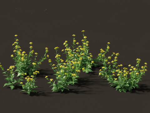 Backyard Green Pack 35 3D Model