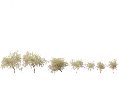 Backyard Green Pack 35 3D Model