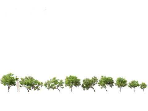 Backyard Green Pack 35 3D Model