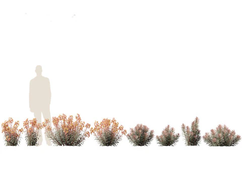 Pakiet zieleni podw&oacute;rkowej 35 Model 3D