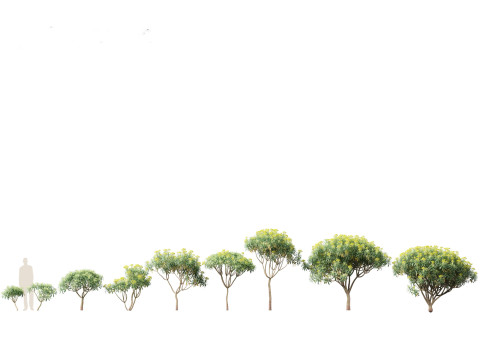 Backyard Green Pack 35 3D Model