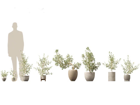 Pacchetto verde cortile 35 Modello 3D