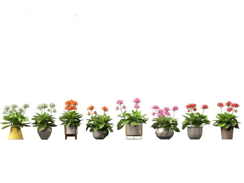 Pacchetto verde cortile 35 Modello 3D