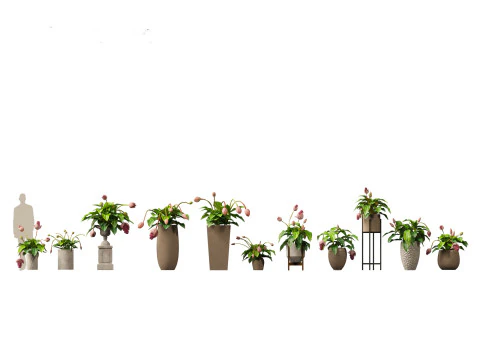 Pacchetto verde cortile 35 Modello 3D