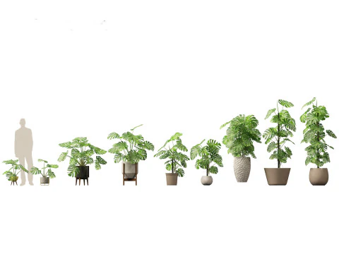 Pacchetto verde cortile 35 Modello 3D