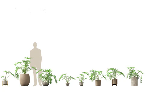 Pacchetto verde cortile 35 Modello 3D