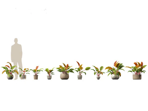 Pacchetto verde cortile 35 Modello 3D