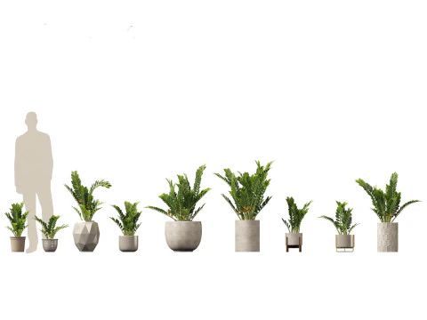 Pacchetto verde cortile 35 Modello 3D