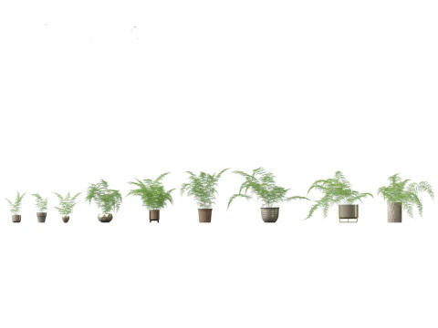 Pacchetto verde cortile 35 Modello 3D