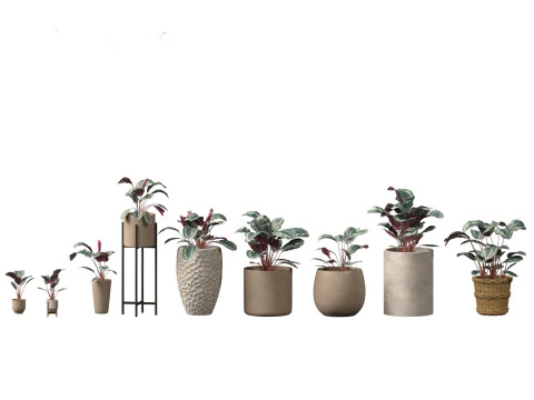 Pacchetto verde cortile 35 Modello 3D