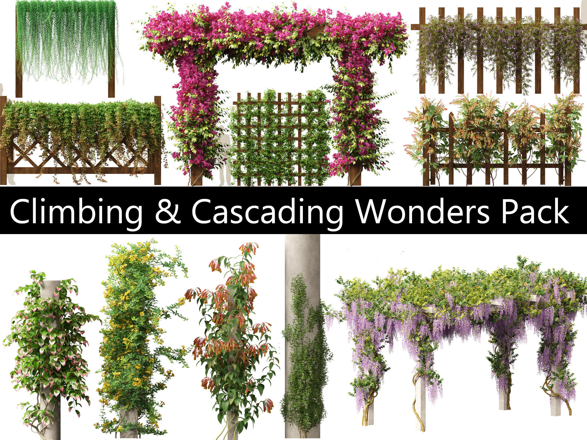 Climbing Cascading Wonders Pack 32 3D Model .c4d .max .obj .3ds .fbx .stl .blend 