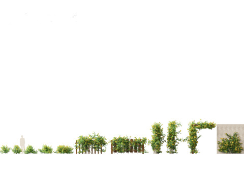 Pacchetto Meraviglie a cascata arrampicata 32 Modello 3D