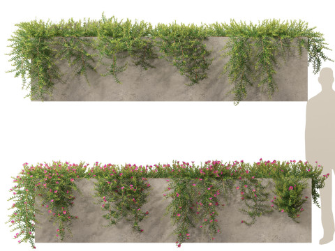 Pacchetto Meraviglie a cascata arrampicata 32 Modello 3D