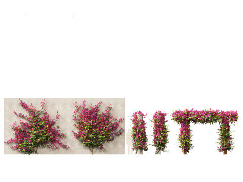 Pacchetto Meraviglie a cascata arrampicata 32 Modello 3D