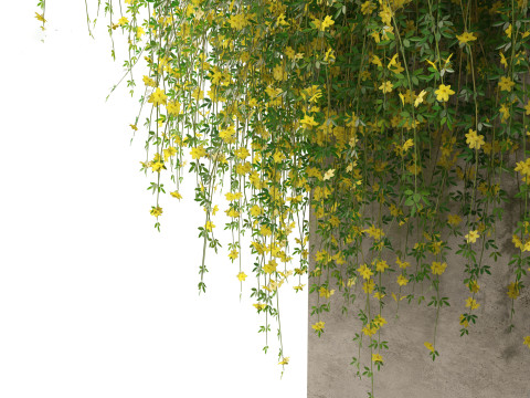 Pacchetto Meraviglie a cascata arrampicata 32 Modello 3D