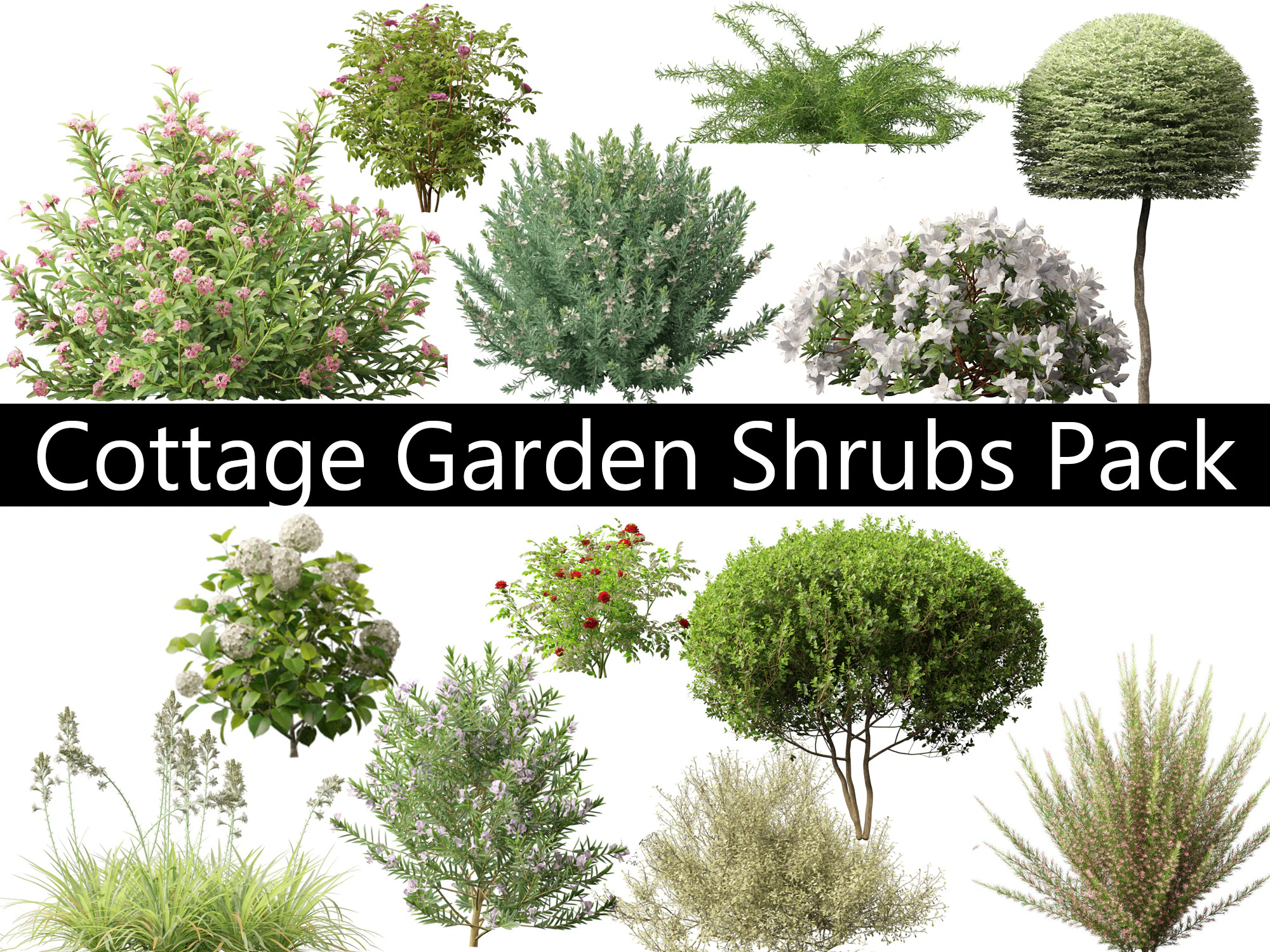 Cottage Garden Shrubs Pack 15 3D Model .c4d .max .obj .3ds .fbx .stl .blend