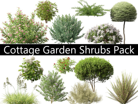 Cottage Garden Shrubs Pack 15 3D Model