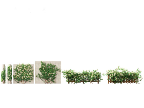 Cottage Garden Shrubs Pack 15 3D Model