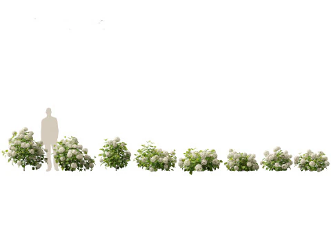 Cottage Garden Shrubs Pack 15 3D Model