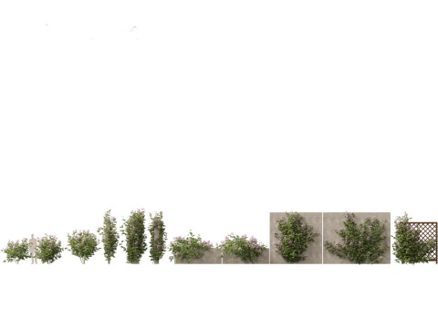 Cottage Garden Shrubs Pack 15 3D Model