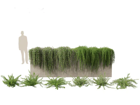 Cottage Garden Shrubs Pack 15 3D Model