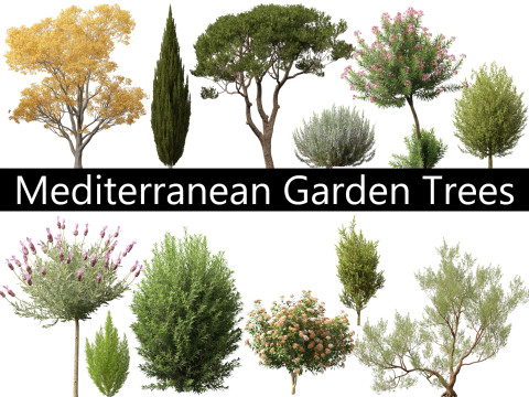 Pack Arbres du Jardin Méditerranéen 03 Modèle 3D