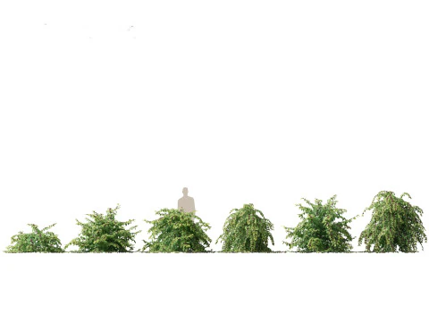 Pacchetto Fiori Arbusti da Fiore 04 Modello 3D