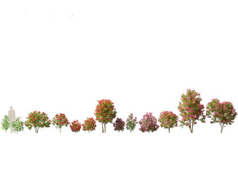 Flowering Shrubs Blossoms Pack 04 3D Model