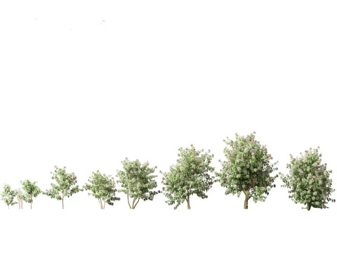 Pacchetto Fiori Arbusti da Fiore 04 Modello 3D