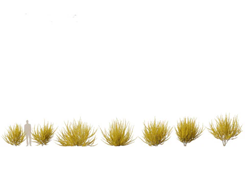 Pacchetto Fiori Arbusti da Fiore 04 Modello 3D