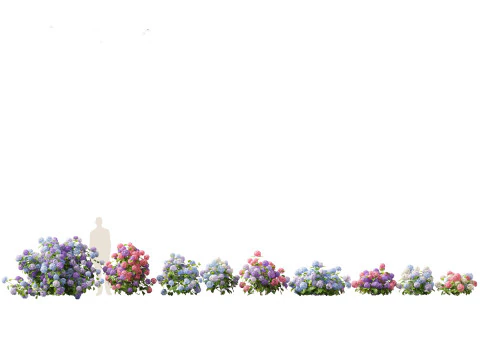 Pacchetto Fiori Arbusti da Fiore 04 Modello 3D