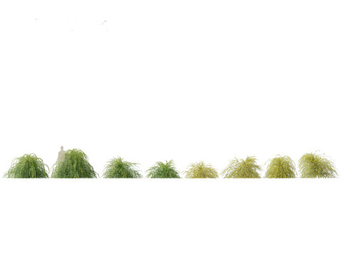 Flowering Shrubs Blossoms Pack 04 3D Model