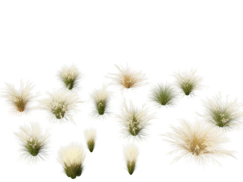 Decorative Ornamental Grasses Pack 29 3D Model