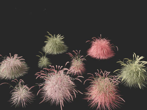 Decorative Ornamental Grasses Pack 29 3D Model