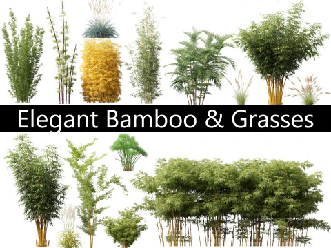 Elegant Bamboo Grasses Pack 33 3D Model