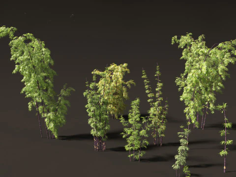 Elegante pacchetto di erbe di bamb&ugrave; 33 Modello 3D