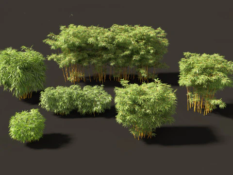 Elegante pacchetto di erbe di bamb&ugrave; 33 Modello 3D