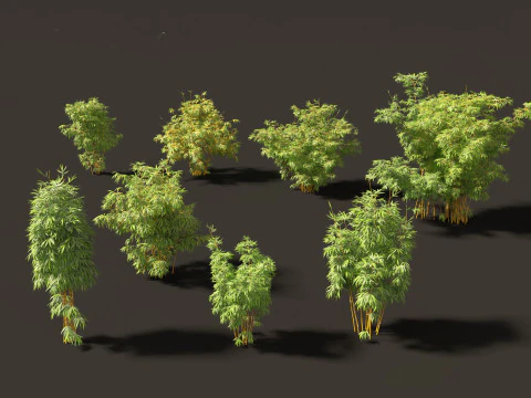 Elegante pacchetto di erbe di bamb&ugrave; 33 Modello 3D