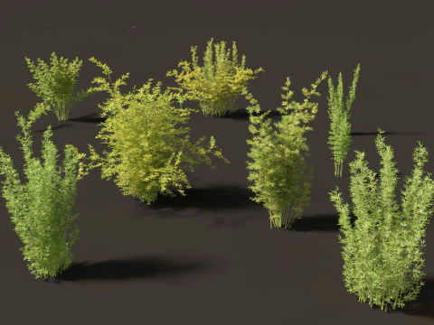 Elegante pacchetto di erbe di bamb&ugrave; 33 Modello 3D