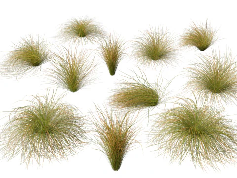 Elegante pacchetto di erbe di bamb&ugrave; 33 Modello 3D